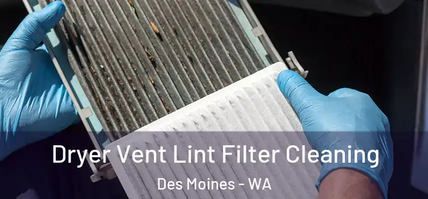 Dryer Vent Lint Filter Cleaning Des Moines - WA