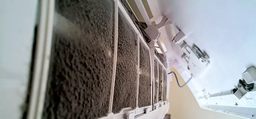 Preventive Air Duct Bacteria Removal in Des Moines