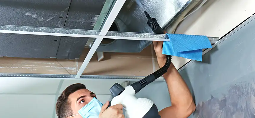 Our Air Duct Rodent Removal Services in Des Moines, WA