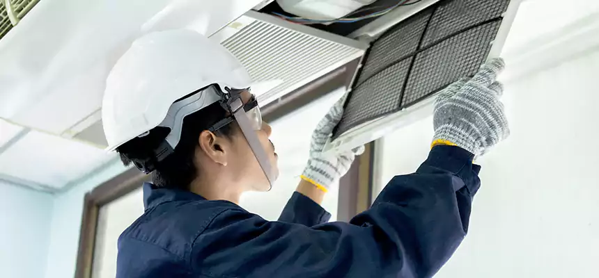 Our Mold & Mildew Removal from Air Ducts Services in Des Moines, WA