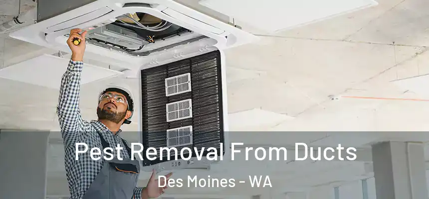  Pest Removal From Ducts Des Moines - WA