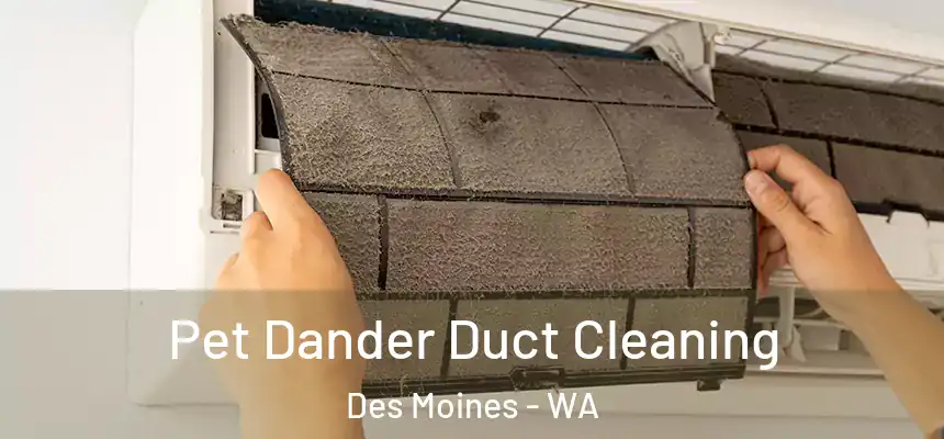 Pet Dander Duct Cleaning Des Moines - WA