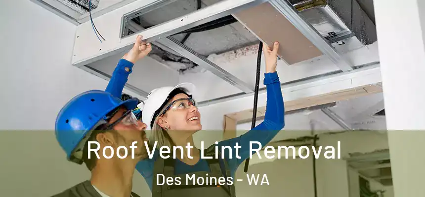  Roof Vent Lint Removal Des Moines - WA