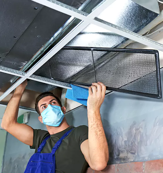 About Air Duct Bacteria Removal in Des Moines