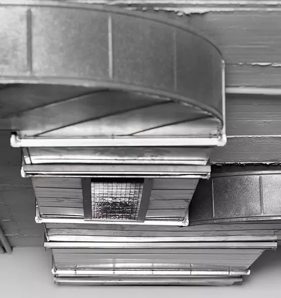 Professional Air Duct Pest Removal in Des Moines, WA