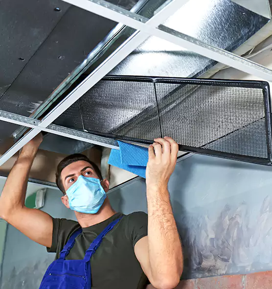 Professional Air Duct Pollen Cleaning in Des Moines, WA