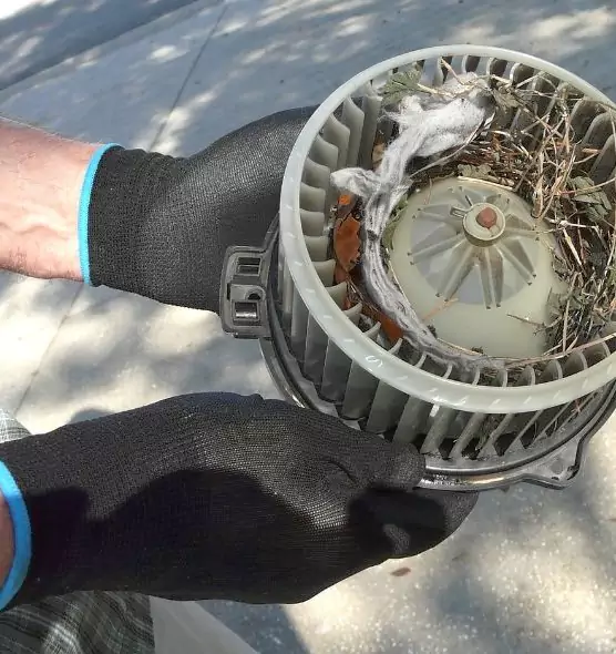 About Air Duct Rat Removal in Des Moines, WA