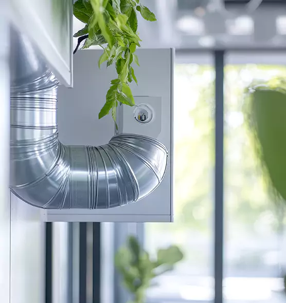 Professional Eco-Friendly Duct Cleaning Services in Des Moines, WA