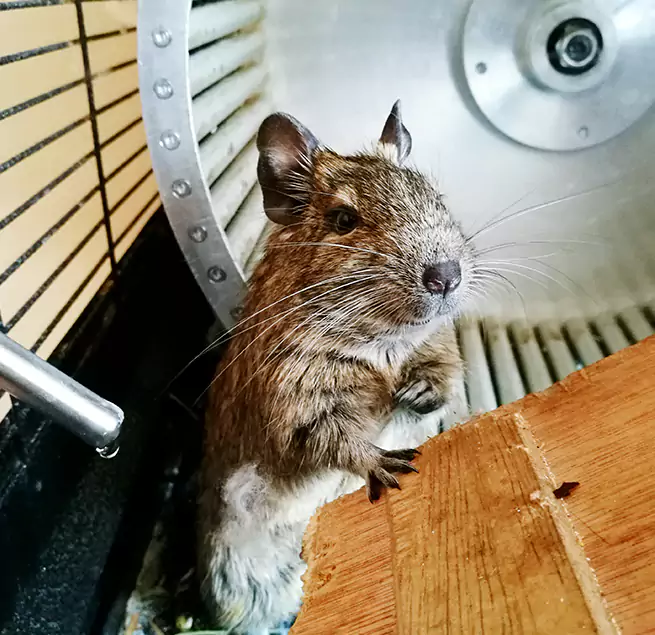 Why Homeowners & Businesses Trust Us Des Moines, WA