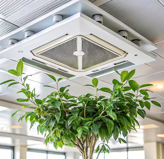 Why Homeowners & Businesses Trust Us in Des Moines, WA?