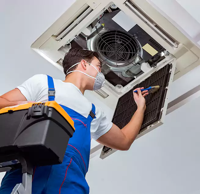 Why Homeowners & Businesses Trust Us in Des Moines, WA?