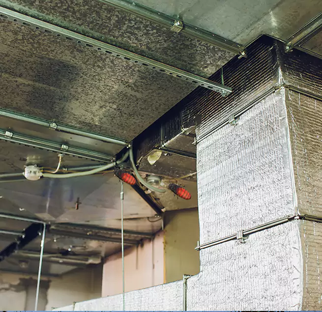 Why Homeowners & Businesses Trust Us Des Moines, WA?