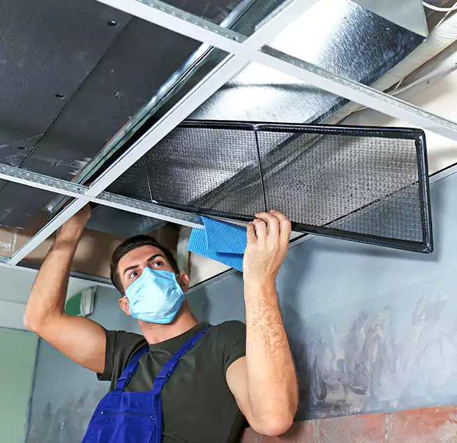 Why Homeowners Businesses Trust Us in Des Moines, WA